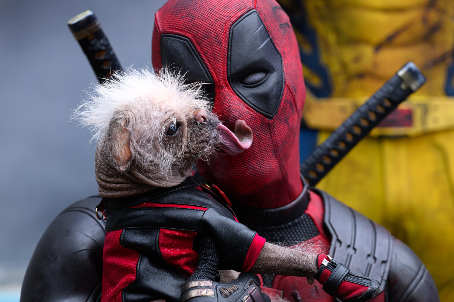 Peggy as Dogpool and Ryan Reynolds as Deadpool/Wade Wilson in a scene from 